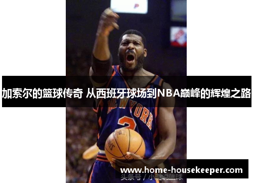 加索尔的篮球传奇 从西班牙球场到NBA巅峰的辉煌之路