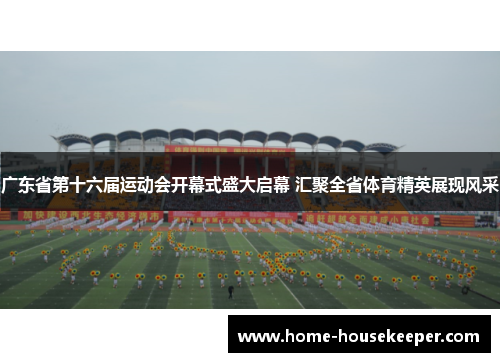 广东省第十六届运动会开幕式盛大启幕 汇聚全省体育精英展现风采