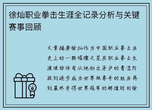 徐灿职业拳击生涯全记录分析与关键赛事回顾